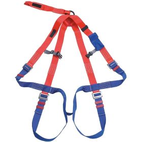arnes-seguridad-dorsal